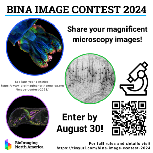 BINA Image Contest 2024